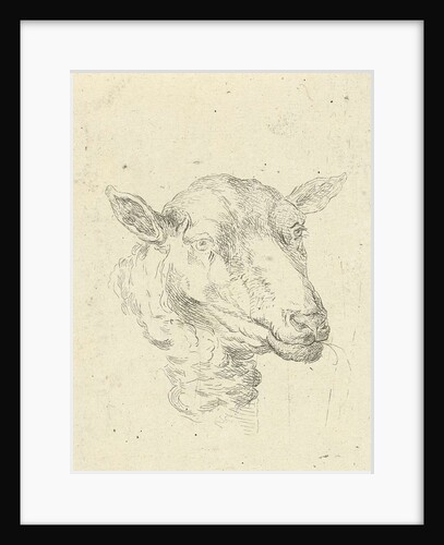 Head of a sheep by baron Reinierus Albertus Ludovicus van Isendoorn à Blois