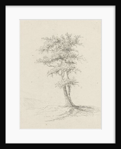 Two trees by baron Reinierus Albertus Ludovicus van Isendoorn à Blois