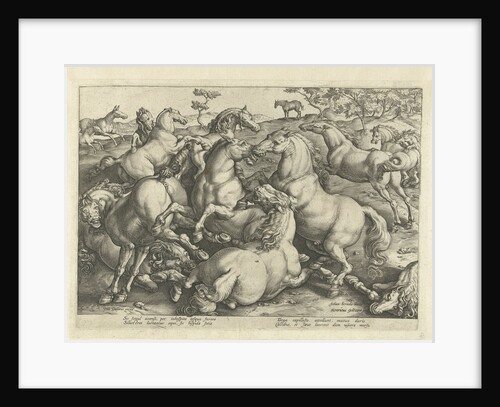 Twelve horses fighting by Philips Galle