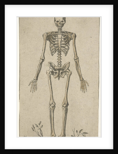Male skeleton, seen from the front by Pieter Feddes van Harlingen