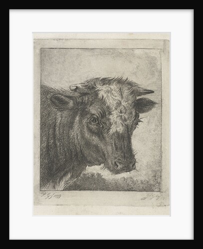 Head of a cow by Jacobus Cornelis Gaal