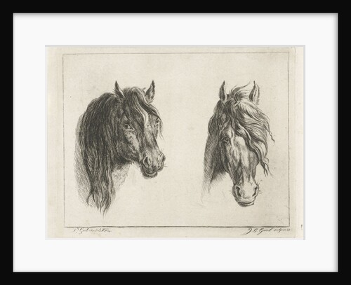 Two horse heads by Jacobus Cornelis Gaal