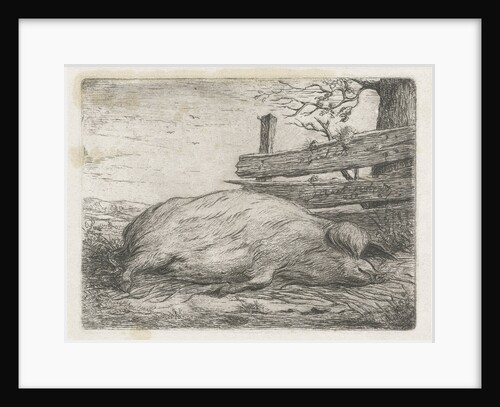 Lying boar by Jacobus Cornelis Gaal