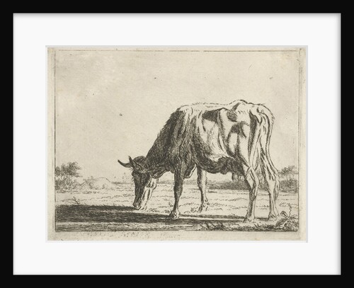 Grazing cow by Pieter Gaal