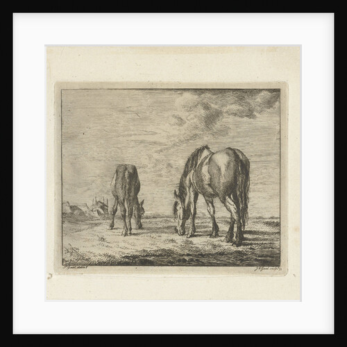 Two grazing horses by Jacobus Cornelis Gaal