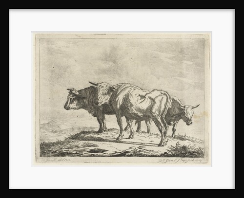 Three oxen by Jacobus Cornelis Gaal