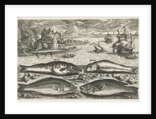 Four fish on the beach by Adriaen Collaert