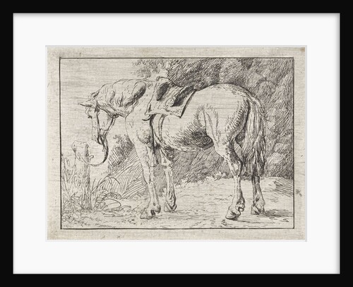 Saddled horse tied to a pole by Jacob van Strij