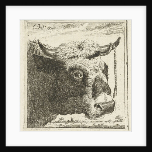 Cup bull rope hear by Cornelis Bisschop