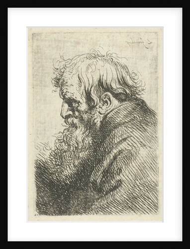 Head of an Old Man by Anthony van Dyck