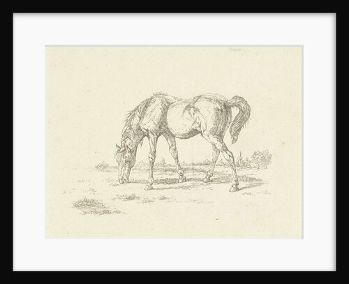 grazing horse right by Jan Dasveldt