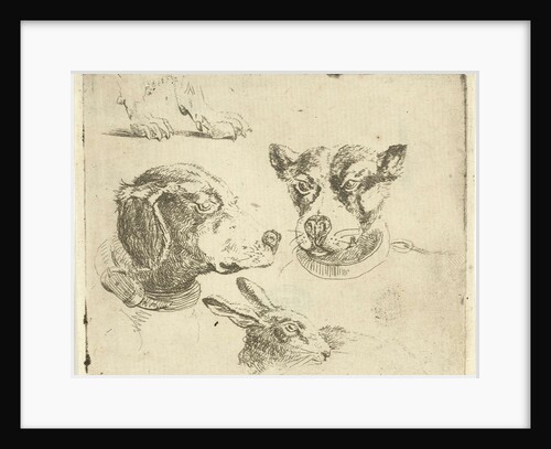 Study Sheet with two dog heads, paws dog and head of hare by Jan Dasveldt