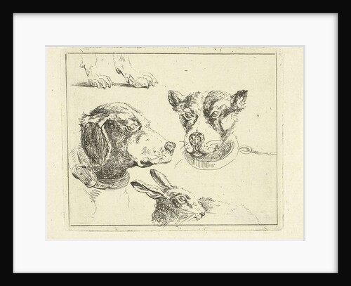 Study Sheet with two dog heads, paws dog and head of hare by Jan Dasveldt