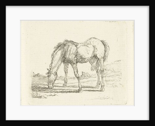 grazing horse left by Jan Dasveldt