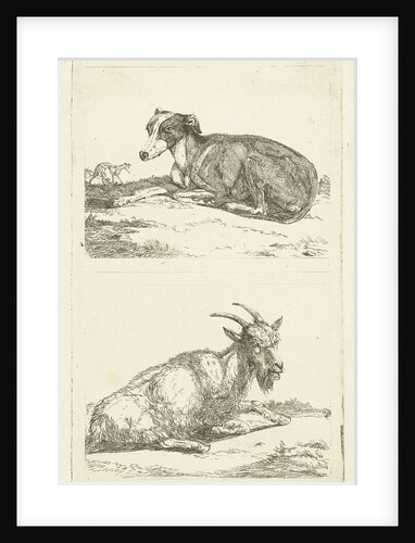 Greyhounds and goat by Jan Dasveldt