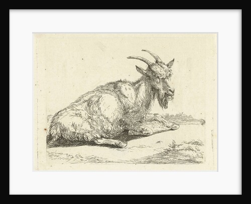 Goat by Jan Dasveldt