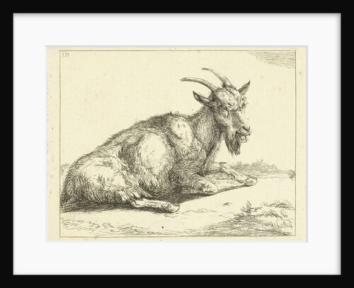 Goat by Jan Dasveldt
