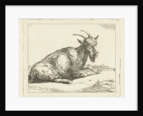 Goat by Jan Dasveldt