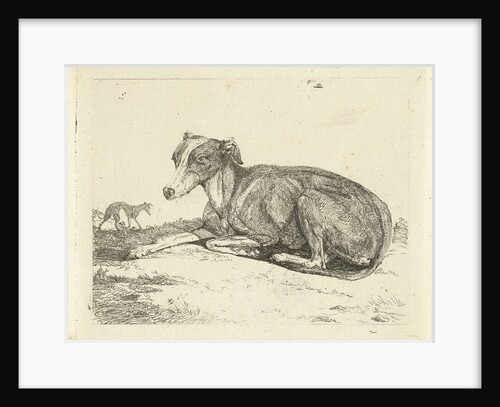 Greyhounds by Jan Dasveldt