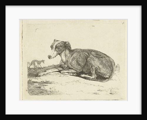 Greyhounds by Jan Dasveldt