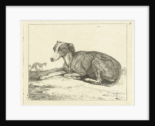 Greyhounds by Jan Dasveldt