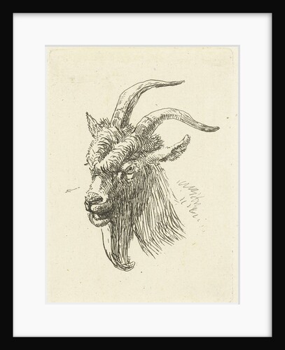 Cup buck by Jan Dasveldt