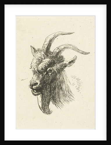 Head of a buck by Jan Dasveldt