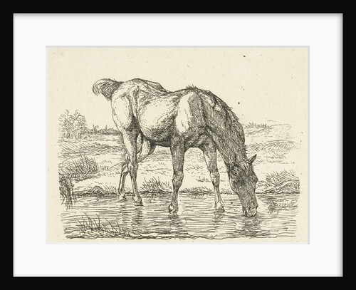 Drinking horse by Jan Dasveldt