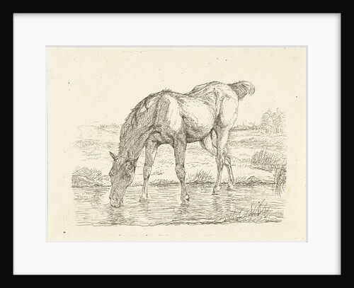 Drinking horse by Jan Dasveldt