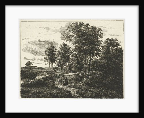 Forest landscape with woman and boy on the way by Johannes Adrianus van der Drift
