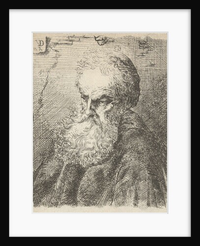 Bust of an old man with beard by Salomon Savery