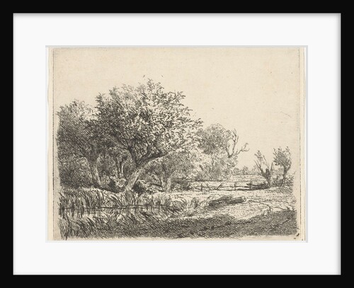 Willows at a coil by Adrianus van Everdingen