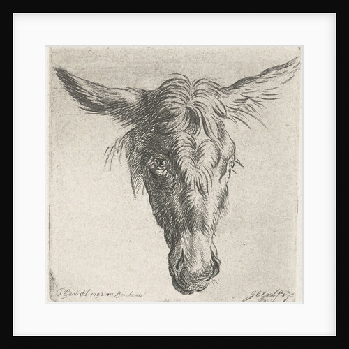 Head of a donkey by Jacobus Cornelis Gaal