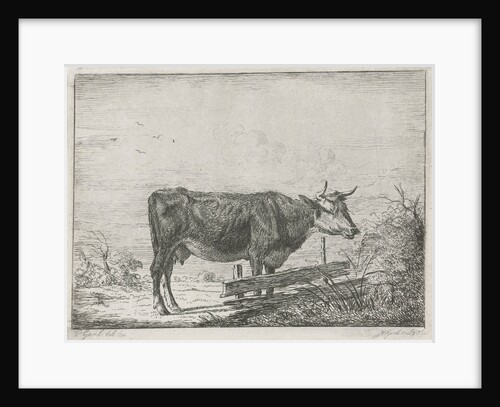 Cow standing by a fence by Pieter Gaal