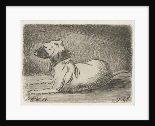 Lying dog with collar by Jacobus Cornelis Gaal
