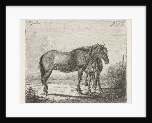 Two horses by Jacobus Cornelis Gaal
