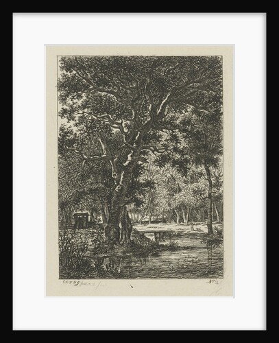 forest view by Cornelis Ouboter van der Griendt