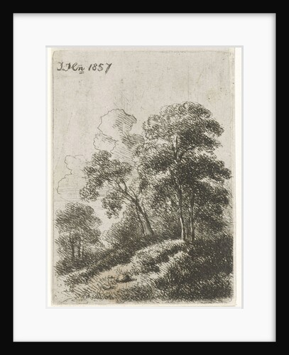Trees on a hill by Hendrik Jan Hein