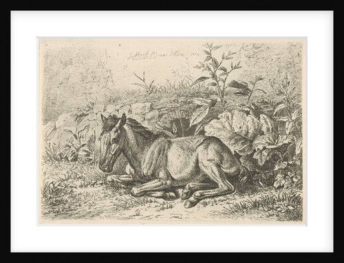 Lying horse for some plants by Johannes Mock