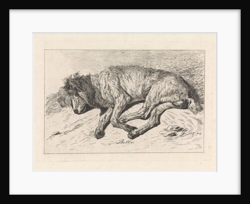 Sleeping dog, George Jooss by Johannes Mock