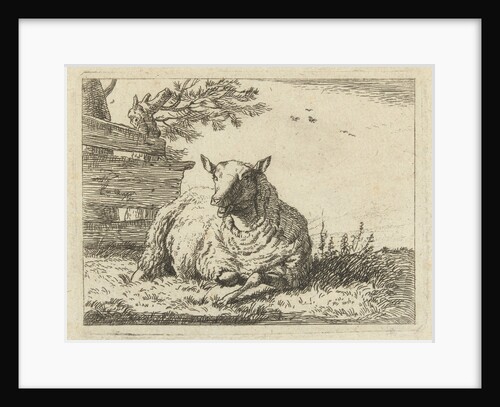 Sheep on a fence by Anonymous