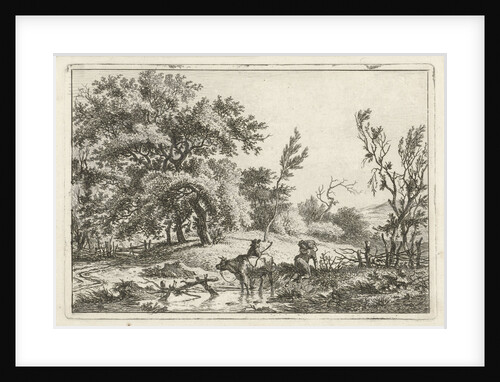 In a rolling landscape is a bull in shallow water by Hermanus Fock