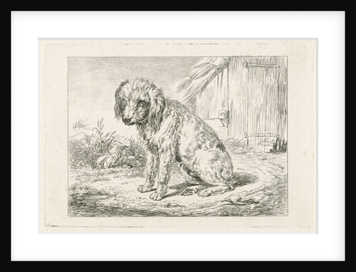 Sitting dog in a barn by Johannes Mock