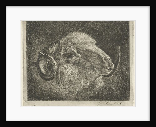 Head of a ram with twisted horns backward by Pieter Gaal