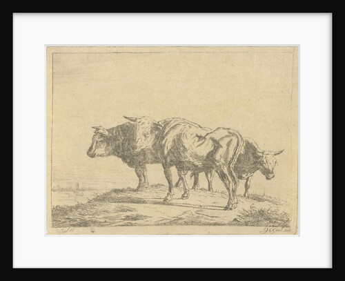 Three oxen by Jacobus Cornelis Gaal
