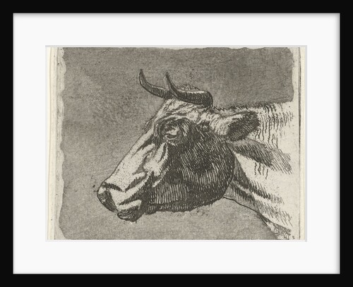 Cow by Johannes Janson