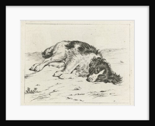 Sleeping dog by Hendrik Godart de Marée