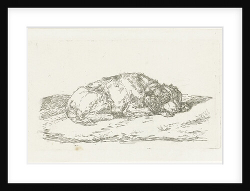 Sleeping dog with head resting on front paws by Jan Dasveldt
