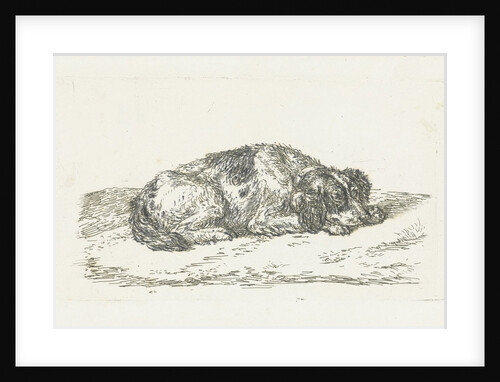 Sleeping dog with head resting on front paws by Jan Dasveldt