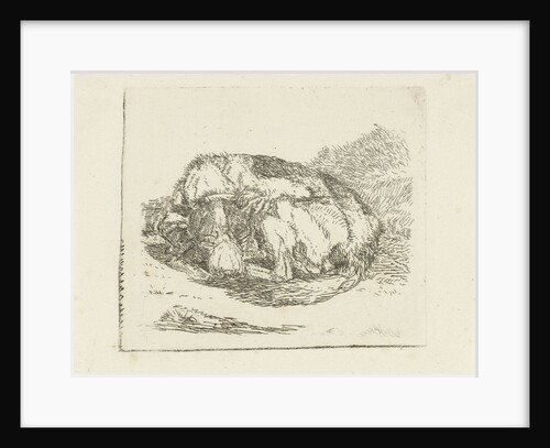 Sleeping dog by Jan Dasveldt